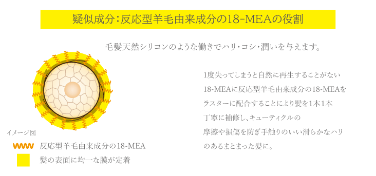 18-MEAの役割